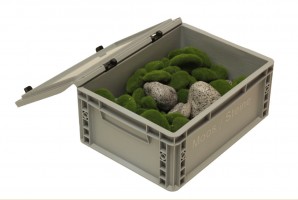Transportbox mit Moos und Granitsteinen Gewicht