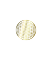 BLUME DES LEBENS Dekor gold