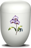 Urne weiss  Orchidee