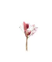 Edition Blomma Rosafarbiger Trockenblumenstrauß