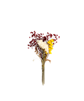 Edition Blomma Wildblumen Trockenblumenstrauß
